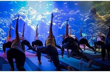 3 Best Yoga Studios in San Francisco, CA - Expert Recommendations