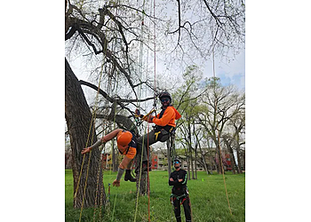 SavATree - Boulder, CO Tree Services - Team Working Image