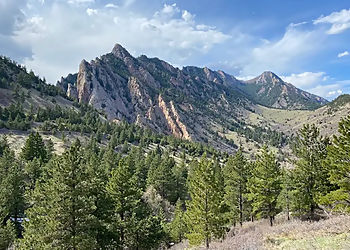 SavATree - Boulder, CO Tree Services - Service Image