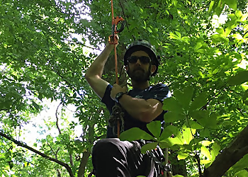 Dayton Tree Services SavATree