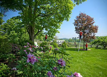 Fort Collins Tree Services SavATree