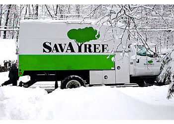 SavATree Houston Tree Services