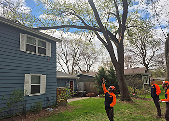 Madison Tree Services SavATree