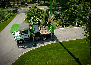 Denver Lawn Care Services SavATree Denver