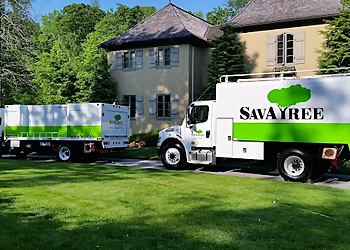 Denver Lawn Care Services SavATree Denver