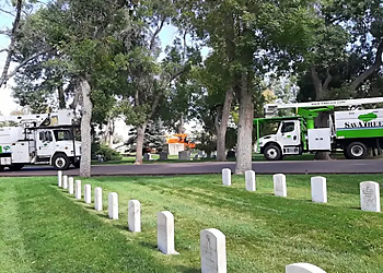 Denver Lawn Care Services SavATree Denver