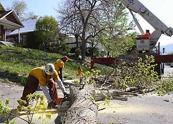 Salt Lake City Tree Services SavATree Salt Lake City