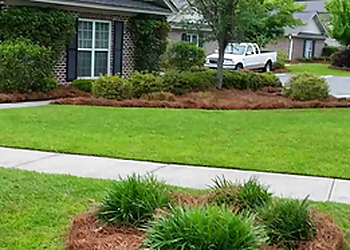 Savannah Landscaping Companies Savannah's Landscaping Services