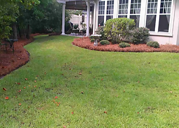 Savannah Landscaping Companies Savannah's Landscaping Services