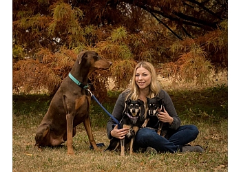 Savvy Pet Sitter