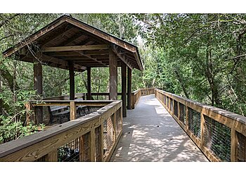 St Petersburg Hiking Trails Sawgrass Lake Park