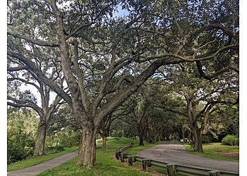 St Petersburg Hiking Trails Sawgrass Lake Park