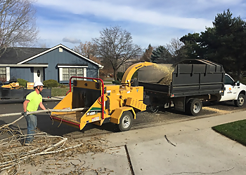 Boise City Tree Services Sawtooth Tree Service