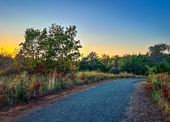 Saxon Park - Norman, OK Hiking Trails - Trail Image
