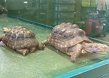 West Valley City Places To See Scales & Tails Utah, Inc.