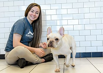 Birmingham Pet Grooming Scenthound