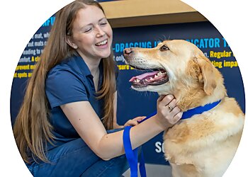 Allentown Pet Grooming Scenthound Allentown