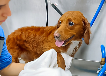 Overland Park Pet Grooming Scenthound Franchising, LLC