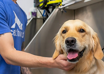 Coral Springs Pet Grooming Scenthound Parkland