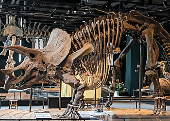 St Paul Places To See Science Museum of Minnesota