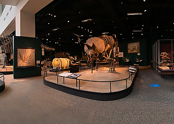 St Paul Places To See Science Museum of Minnesota