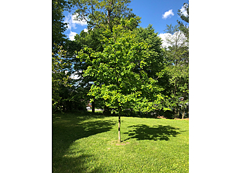 Baltimore Lawn Care Services Scientific Plant Service, Inc.