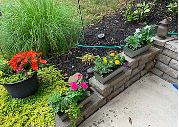 Baltimore Lawn Care Services Scientific Plant Service, Inc.