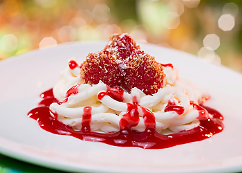 Orlando Commercial Photographers Scott Watt Photography