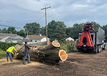 Columbus Tree Services Scotts Tree Experts