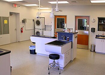 Scottsdale Veterinary Clinics Scottsdale Animal Healthcare