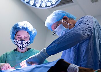 Scottsdale Veterinary Clinics Scottsdale Animal Healthcare