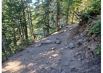 Provo Hiking Trails Scout Falls