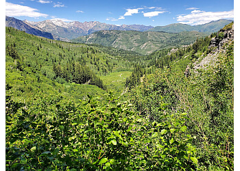 Provo Hiking Trails Scout Falls
