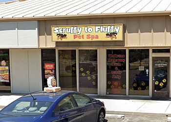 Scruffy to Fluffy Pet Spa Bakersfield Pet Grooming