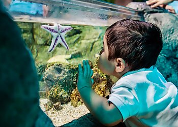 Tempe Places To See Sea Life Arizona