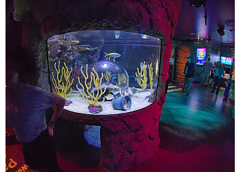 Sea Life Orlando Aquarium Orlando Places To See
