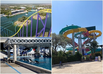 San Antonio Amusement Parks SeaWorld San Antonio