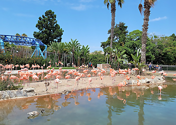 San Diego Amusement Parks SeaWorld San Diego