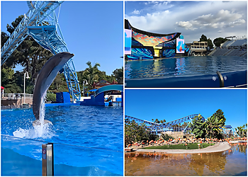 San Diego Amusement Parks SeaWorld San Diego
