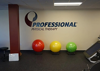 Stamford Physical Therapists Sean Sullivan, PT, DPT, ATC, FAAOMPT - PROFESSIONAL PHYSICAL THERAPY