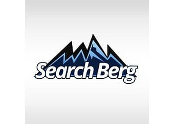 Search Berg