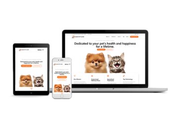 Fullerton Web Designers Search Business Group