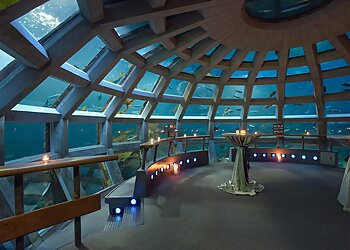 Seattle Places To See Seattle Aquarium