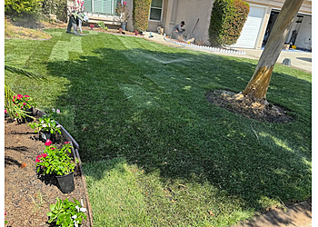 Thousand Oaks Lawn Care Services Sebastian’s Landscaping