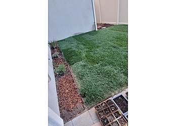 Thousand Oaks Lawn Care Services Sebastian’s Landscaping