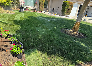 Sebastian’s Landscaping LLC Ventura Landscaping Companies image 1
