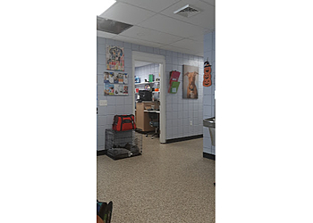 Springfield Veterinary Clinics Second Chance Animal Services