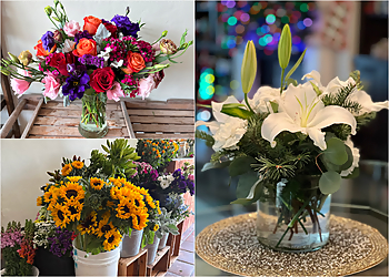 Ventura Florists Secret Garden Florist