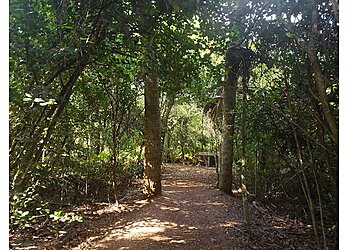 Fort Lauderdale Hiking Trails Secret Woods Nature Center