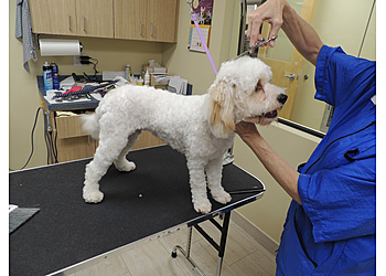 Fort Lauderdale Veterinary Clinics Seiler Animal Hospital